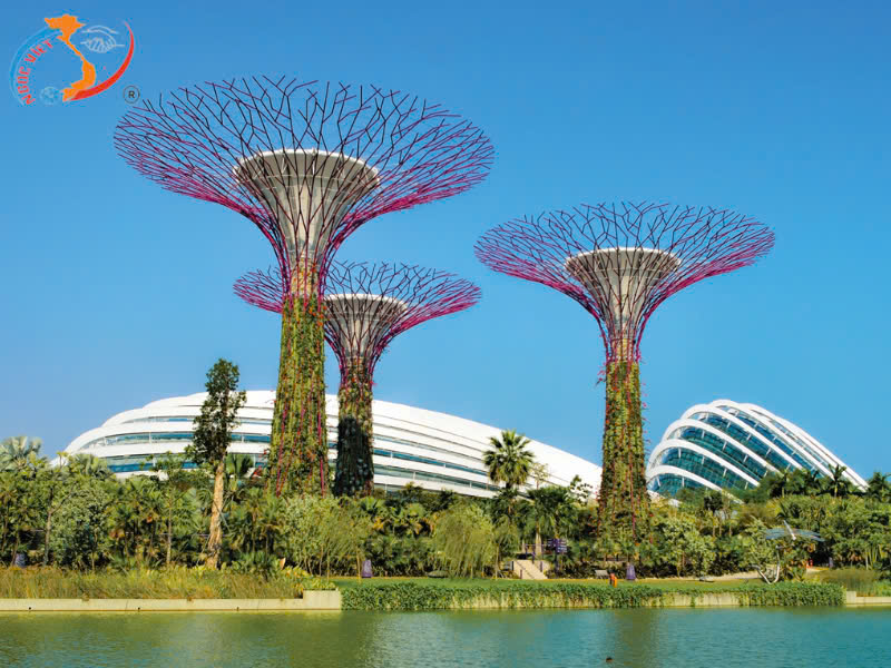 TOUR MALAYSIA - SINGAPORE TẾT ÂM LỊCH 2025