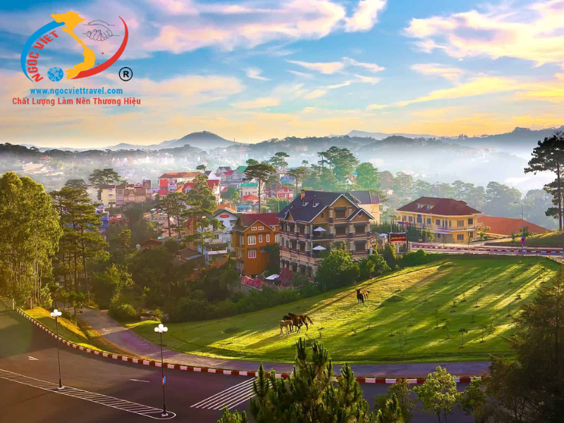 TOUR ĐÀ LẠT 3 NGÀY - KDL MONGO LAND - CAO NGUYÊN HOA ĐÀ LẠT - SAMTEN HILLS  - VƯỜN ÁNH SÁNG LUMIERE