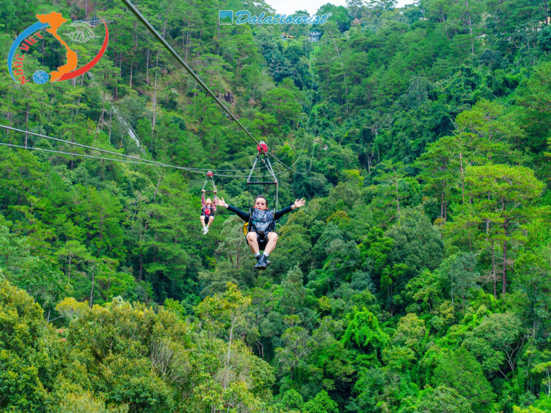 TOUR ĐÀ LẠT TẾT ẤT TỴ - GIAO LƯU CỒNG CHIÊNG - MONGO LAND – KDL FRESH GARDEN - SAMTEN HILL